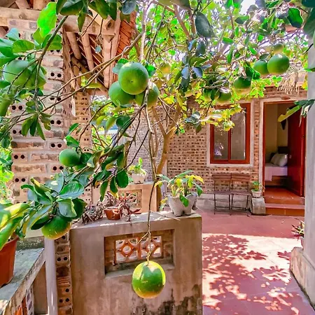 Tuan Nam Homestay Ninh Binh Exterior photo