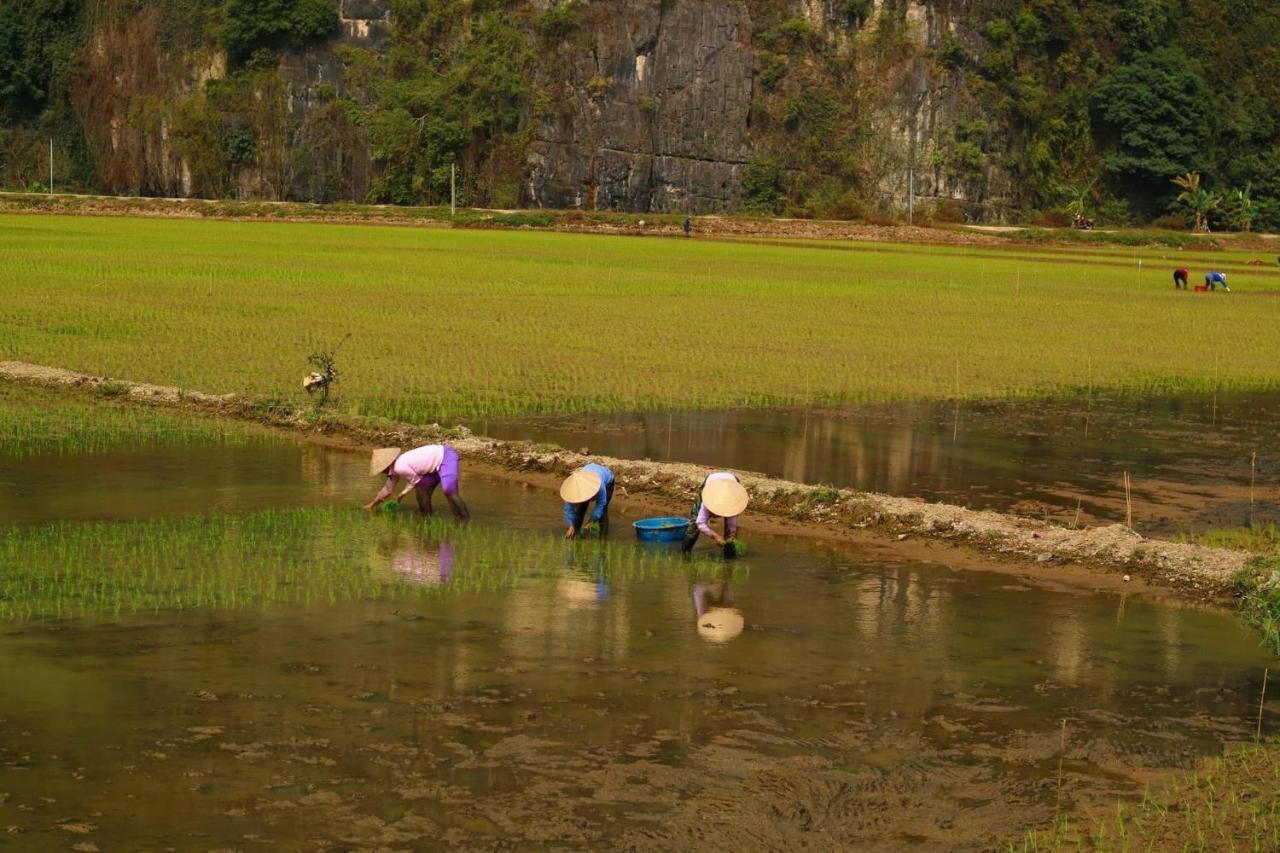Tuan Nam Lodge Ninh Binh