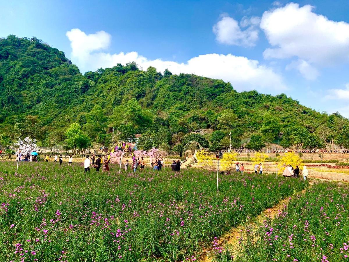 Tuan Nam Lodge